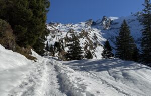 Der ersehnte Blick in den Winter